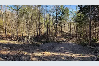 Tbd #15 County Road 475A, Henderson, TX 75654 - Photo 31