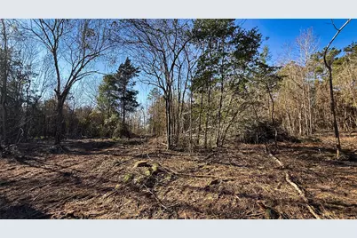 Tbd #15 County Road 475A, Henderson, TX 75654 - Photo 13