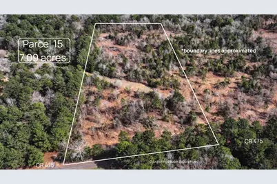 Tbd #15 County Road 475A, Henderson, TX 75654 - Photo 1