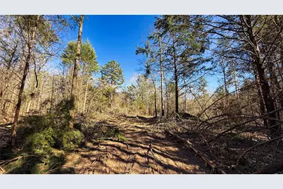 Tbd #15 County Road 475A, Henderson, TX 75654 - Photo 29