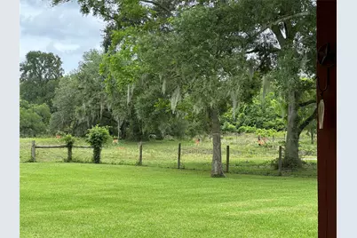 2668 Fm 522 Road, Brazoria, TX 77422 - Photo 13