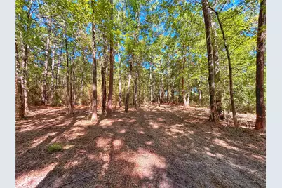 1842 Fm 2423, Grapeland, TX 75844 - Photo 27