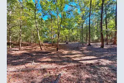 1842 Fm 2423, Grapeland, TX 75844 - Photo 41