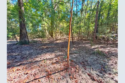 1842 Fm 2423, Grapeland, TX 75844 - Photo 37