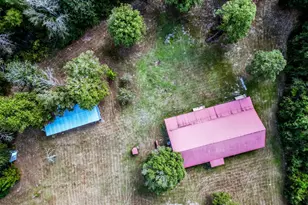 157 Laurel Ln, Livingston, TX 77351 - Photo 43