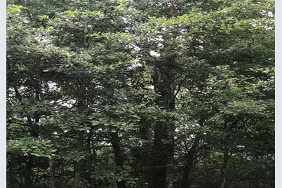 26150 Grand Pines Road, Magnolia, TX 77355 - Photo 11