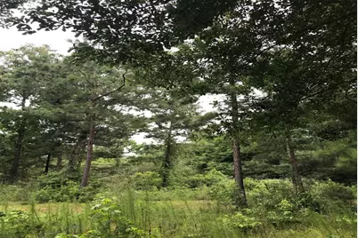 26150 Grand Pines Road, Magnolia, TX 77355 - Photo 7