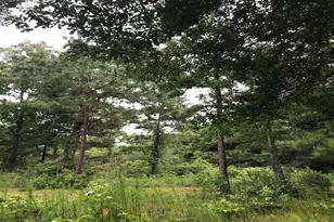 26150 Grand Pines Rd, Magnolia, TX 77355 - Photo 7