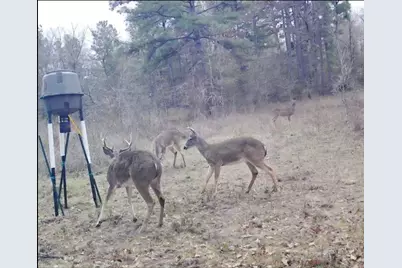 0 Archie Road, Huntsville, TX 77340 - Photo 1