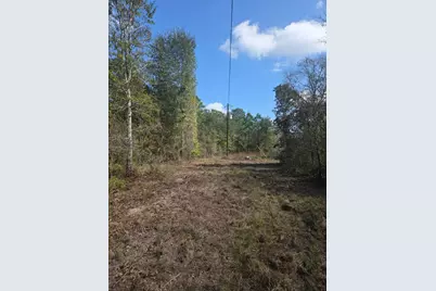 0 Archie Road, Huntsville, TX 77340 - Photo 3