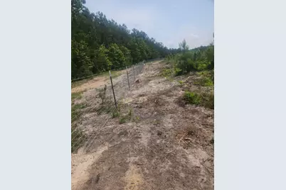 9420 Fm 355, Trinity, TX 75862 - Photo 3