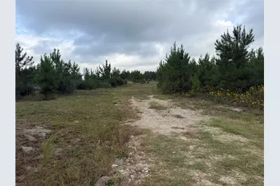 9420 Fm 355, Trinity, TX 75862 - Photo 13