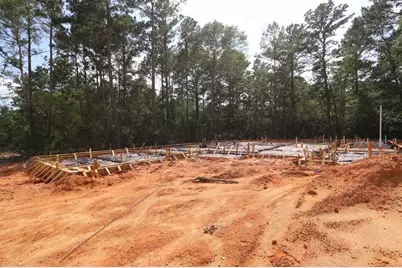 259 Nancy Lou Lane, Willis, TX 77318 - Photo 25