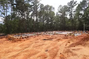 259 Nancy Lou Ln, Willis, TX 77318 - Photo 25