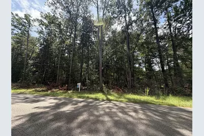 0 W Black Gum Drive, Village Mills, TX 77663 - Photo 3