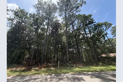 0 W Black Gum Drive, Village Mills, TX 77663 - Photo 1