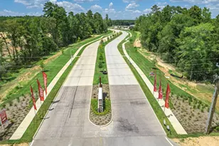 10723 Sora Dr, Willis, TX 77378 - Photo 5