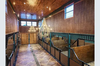 23981 Old Dobbin Plantersville Road, Montgomery, TX 77316 - Photo 7