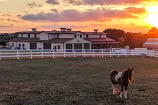 23981 Old Dobbin Plantersville Rd, Montgomery, TX 77316 - Photo 3