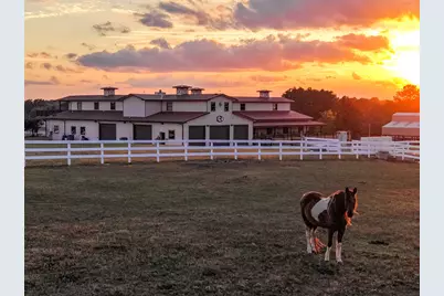 23981 Old Dobbin Plantersville Road, Montgomery, TX 77316 - Photo 37
