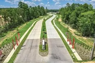 248 Seven Pnes Dr, Willis, TX 77378 - Photo 13