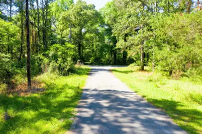 Lot 17 Anglers Drive, Trinity, TX 75862 - Photo 1