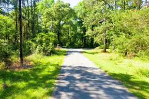 Lot 17 Anglers Dr, Trinity, TX 75862 - Photo 1