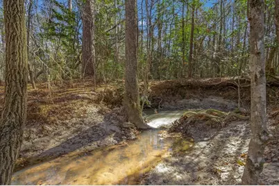 893 Capps Road, Huntington, TX 75949 - Photo 19