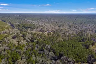 893 Capps Rd, Huntington, TX 75949 - Photo 29