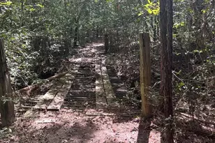 893 Capps Rd, Huntington, TX 75949 - Photo 23