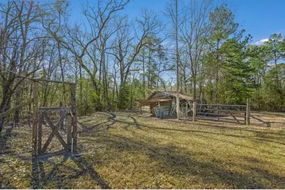 893 Capps Road, Huntington, TX 75949 - Photo 15