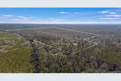 893 Capps Road, Huntington, TX 75949 - Photo 31