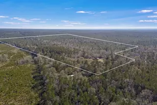 893 Capps Rd, Huntington, TX 75949 - Photo 31