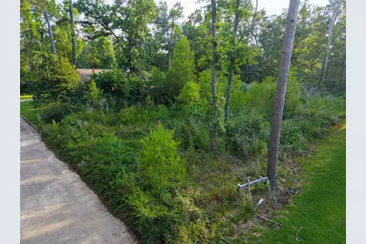 0 Mustang Avenue, Willis, TX 77378 - Photo 3