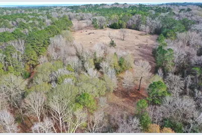 Tbd Dejardo Lane, Coldspring, TX 77331 - Photo 5