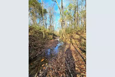 Tbd Dejardo Lane, Coldspring, TX 77331 - Photo 43