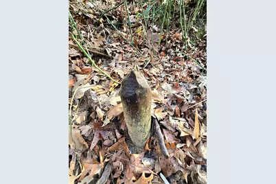 Tbd Dejardo Lane, Coldspring, TX 77331 - Photo 41