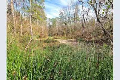 Tbd Dejardo Lane, Coldspring, TX 77331 - Photo 27