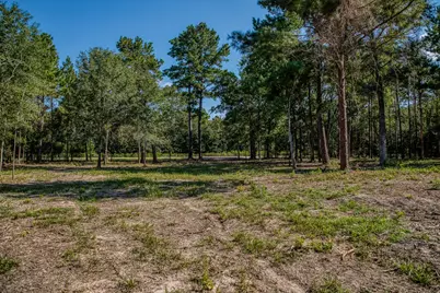 31801 Reids Prairie Road, Waller, TX 77484 - Photo 5
