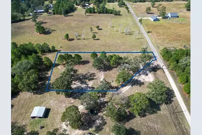 Tbd Slot Road, Navasota, TX 77868 - Photo 5