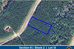 16049 Frst Ml Rd, Willis, TX 77378 - Photo 1