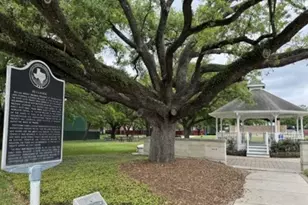 5330 Jackwood St, Houston, TX 77096 - Photo 21