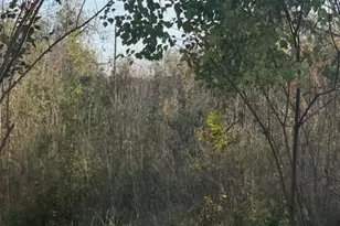 4804 Bostic St, Houston, TX 77016 - Photo 7