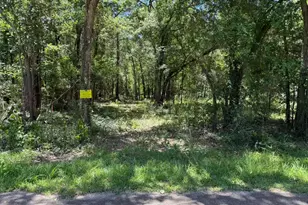 24820 Marks Rd, Splendora, TX 77372 - Photo 1