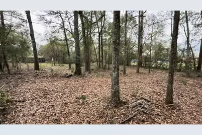 24820 Marks Road, Splendora, TX 77372 - Photo 1