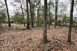 24820 Marks Rd, Splendora, TX 77372 - Photo 1