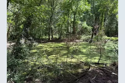 24820 Marks Road, Splendora, TX 77372 - Photo 5