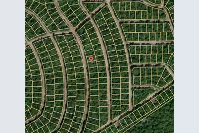 Lot 32 Hickory Ridge Drive, Normangee, TX 77871 - Photo 3