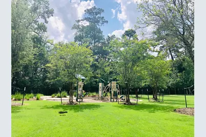 29021 Cherrywood Lane, Shenandoah, TX 77381 - Photo 27