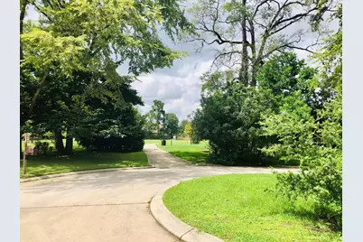 29021 Cherrywood Lane, Shenandoah, TX 77381 - Photo 25